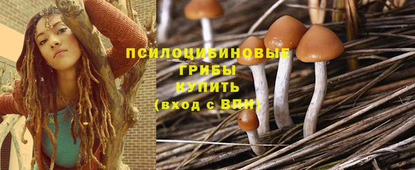 прущий лед Алексин