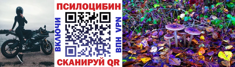 MEGA вход Железногорск-Илимский Галлюциногенные грибы мухоморы где купить наркоту